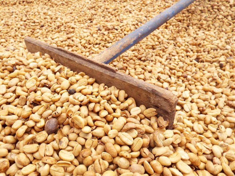 grains de café costa rica grains de café costa rica